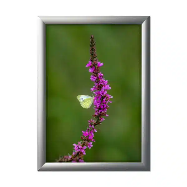 Snap frame 25 mm hopea