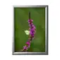 Snap frame 25 mm hopea
