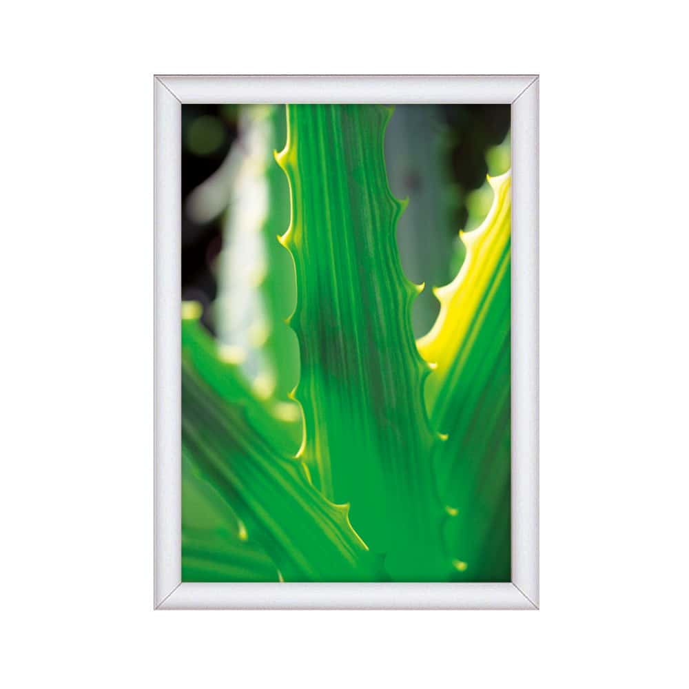 product-categories-aluminium-snap-frames